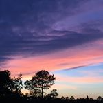 Tom Kaminski - @kaminski434 - Instagram