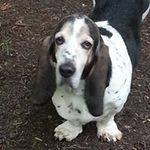 Tom Kaminski - @tomjkaminski - Instagram