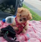Tom Kauffman - Facebook