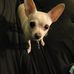 Tom Kelso - Facebook
