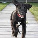 Tom Kerkhoff - @kerkhofft - Instagram