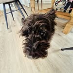Tom Kerkhoff - @tomkerkhoff2009 - Instagram