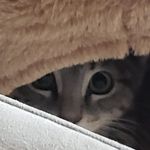 Tom Kessler Fl - @tomkesslerfl - Instagram