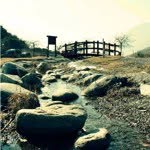 @tom_khoury - Instagram