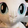 Tom Kimball - @user5533408599985 - TikTok