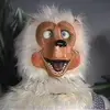 ToMeetAKindred - @tomeetakindred - TikTok