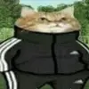 Tommy Kingham - @tommykingham - TikTok