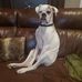 Tom Kinn - Facebook