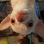 Tom Kinney - @tom.kinney.397 - Instagram