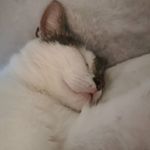 Tom Kirsch - @toki70077_20 - Instagram
