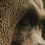 Tom Kirschey - @tomkirschey - Instagram