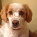 Tom Kirwan - Facebook