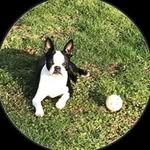 Tom Klinedinst - @klinedinsttom - Instagram