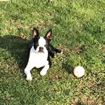 Tom Klinedinst - @tom300824 - Instagram
