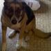 Tom Knights - Facebook