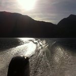 Tom Knott - @knott6666 - Instagram