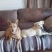 Tom Kole - Facebook