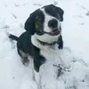 Tomkolec - @tomkolec - TikTok