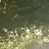 tomkolesar783 - @tomkolesar783 - TikTok