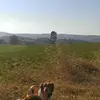 tomkoletis - @tomkoletis - TikTok