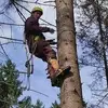 Tomáš Kopp - @tom.kopp - TikTok