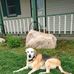 Tom Kovar - Facebook