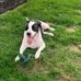 Tom Kring - Facebook