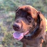 Maggie Grove - @tomek.kunert - Instagram