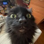 Tomaš Kunert - @kunert444 - Instagram