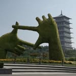 Tom Kwok - @mrtomkwok - Instagram
