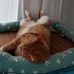 Tom Kwok - Facebook