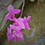 Tom Kwok Fai Wong - @tomkfwong - Instagram