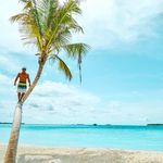 Tom Lambert - @tomthaiger - Instagram