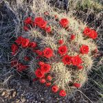 Tom Lambrecht - @thomaslambrecht - Instagram