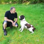 Tom Lambrechts - @tom_lambrechts_22033 - Instagram