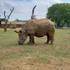 Tom Langdon - @tom.langdon8 - TikTok