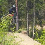 Tom Langston - @tomlangston74 - Instagram