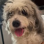 Tom José Ojeda Lanza - @tom_jose02 - Instagram