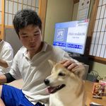 トミー - @tomi_lapierre - Instagram