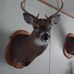 Thomas Laporte - Facebook