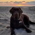 Tom Laporte - Facebook