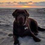 tom laporte - @tom_photo_02 - Instagram