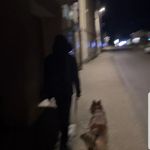 Tom Laporte Alin - @tomlaportealin - Instagram
