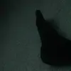 tom_lorimer - @tom_lorimer - TikTok