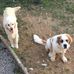 Tom Laroche - Facebook