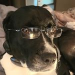 Tom LaRose - @_tlarose - Instagram
