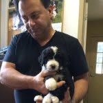 Tom Lavecchia - @tomlavecchia - Instagram