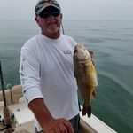 Tom Layton - @tom.layton.7737 - Instagram