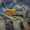Tom Layton - @tomlayton7 - TikTok