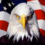 Tom Leccese - @leccesetom - Instagram